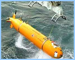 SHRIMP vertical camera system